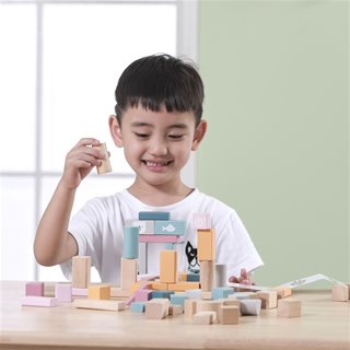 Blocks - 60 pieces
